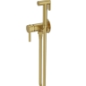 гигиенический набор Lavita Orion скрытого монтажа, brushed gold (5900378357285)